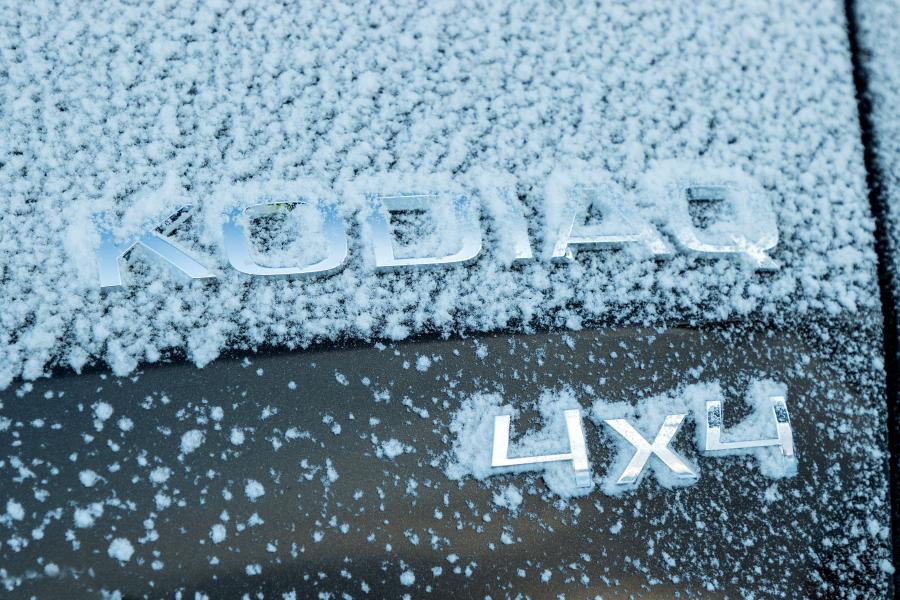 Логотип Skoda Kodiaq Scout 2017 года  (WW) (фото 35 из 61)